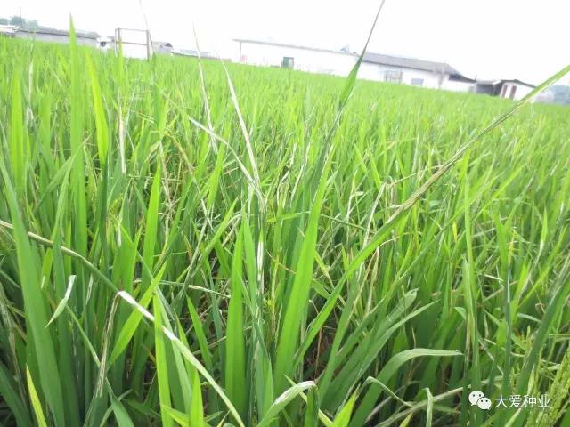 微信图片_20180626163056.jpg